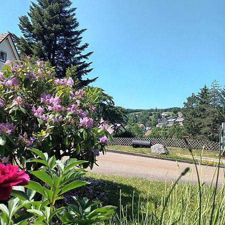 Ferienwohnung Brigachglueck St. Georgen im Schwarzwald Buitenkant foto
