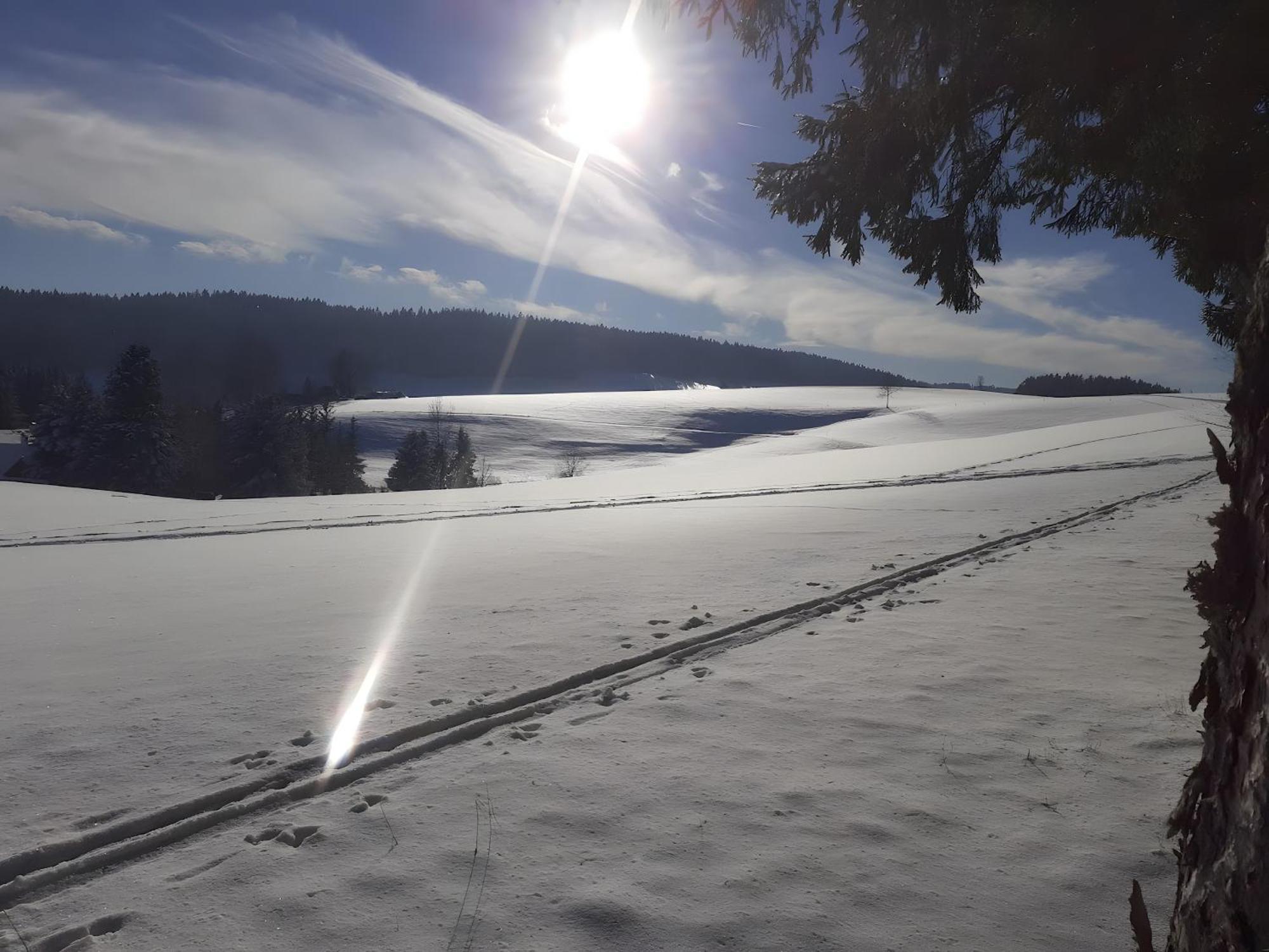 Ferienwohnung Brigachglueck St. Georgen im Schwarzwald Buitenkant foto