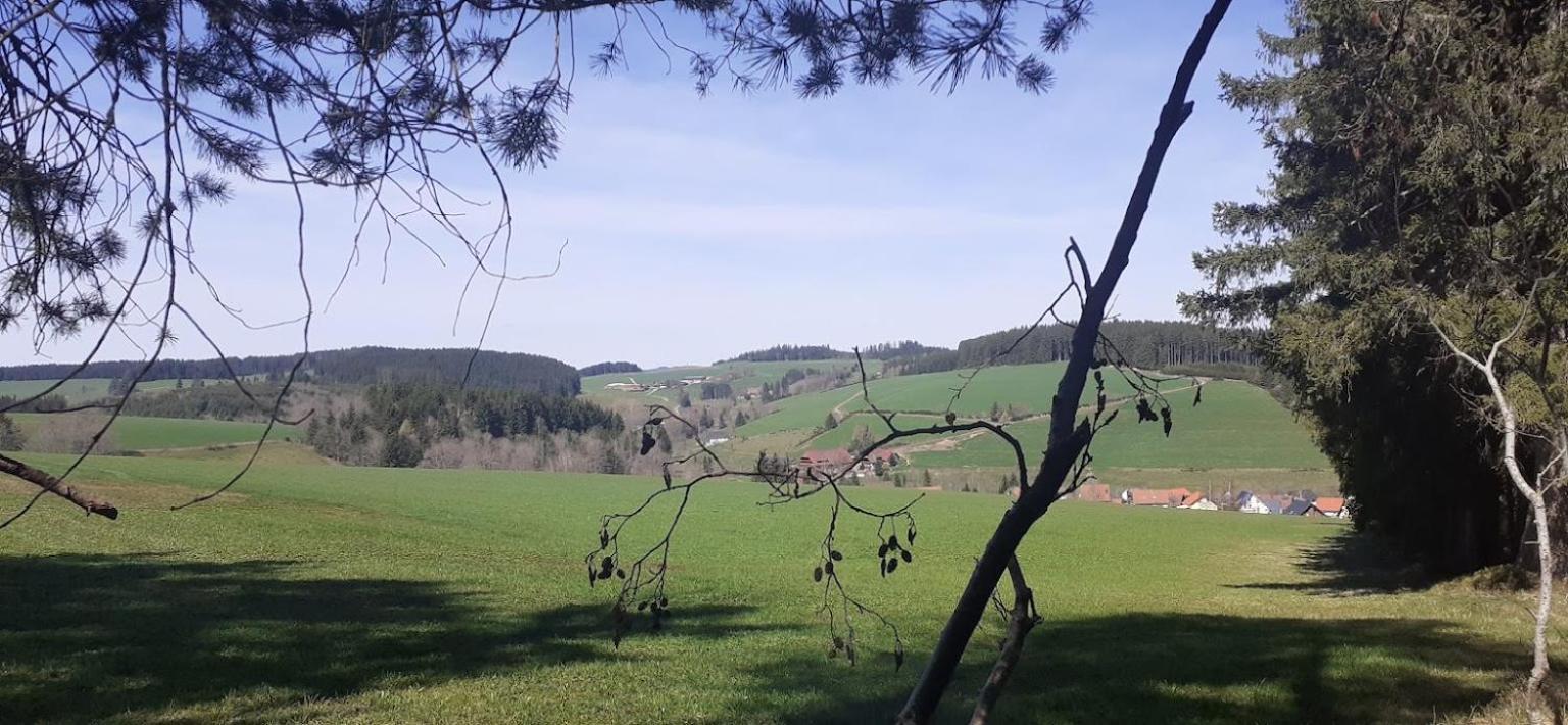 Ferienwohnung Brigachglueck St. Georgen im Schwarzwald Buitenkant foto